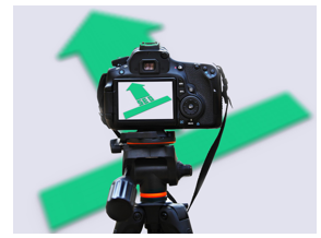 Secure Document Sharing